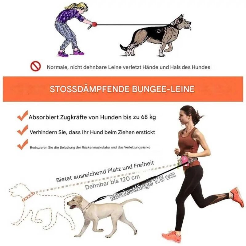 Freihändige einziehbare Hundeleine mit Gürteltasche für Spaziergänge für Hund – Bild 11