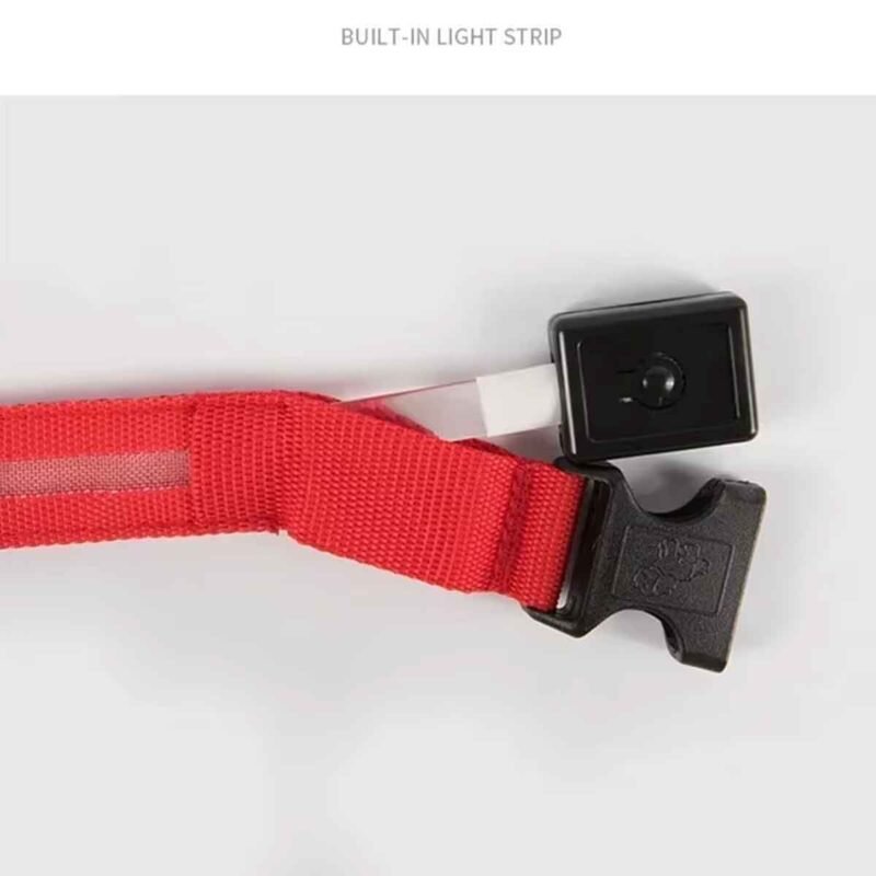 USB Reflektierendes Hundehalsband mit Leuchtfunktion – Bild 2