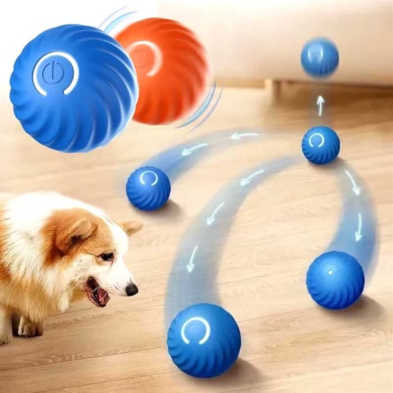 Intelligenter Hundespielzeug Ball
