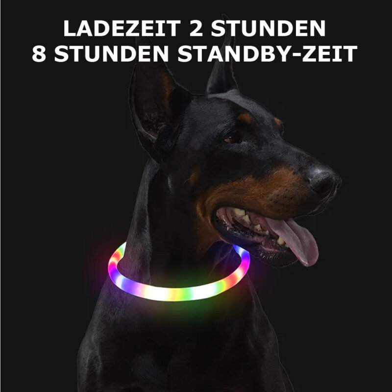 USB Led-hundehalsband Leuchtendes – Bild 17