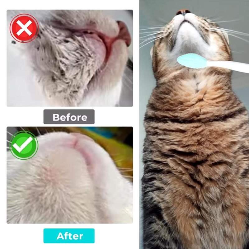 3 Katzenpflege bürste für Katzen kinnAkne – Bild 3