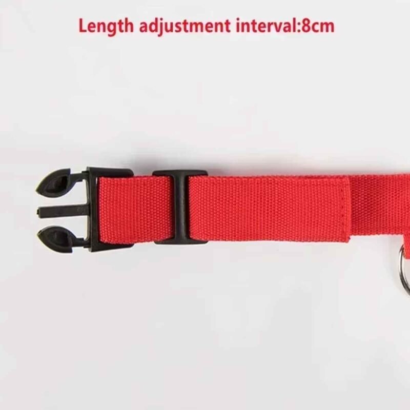 USB Reflektierendes Hundehalsband mit Leuchtfunktion – Bild 3