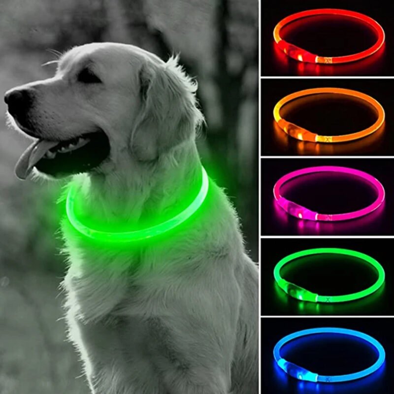 USB Led-hundehalsband Leuchtendes