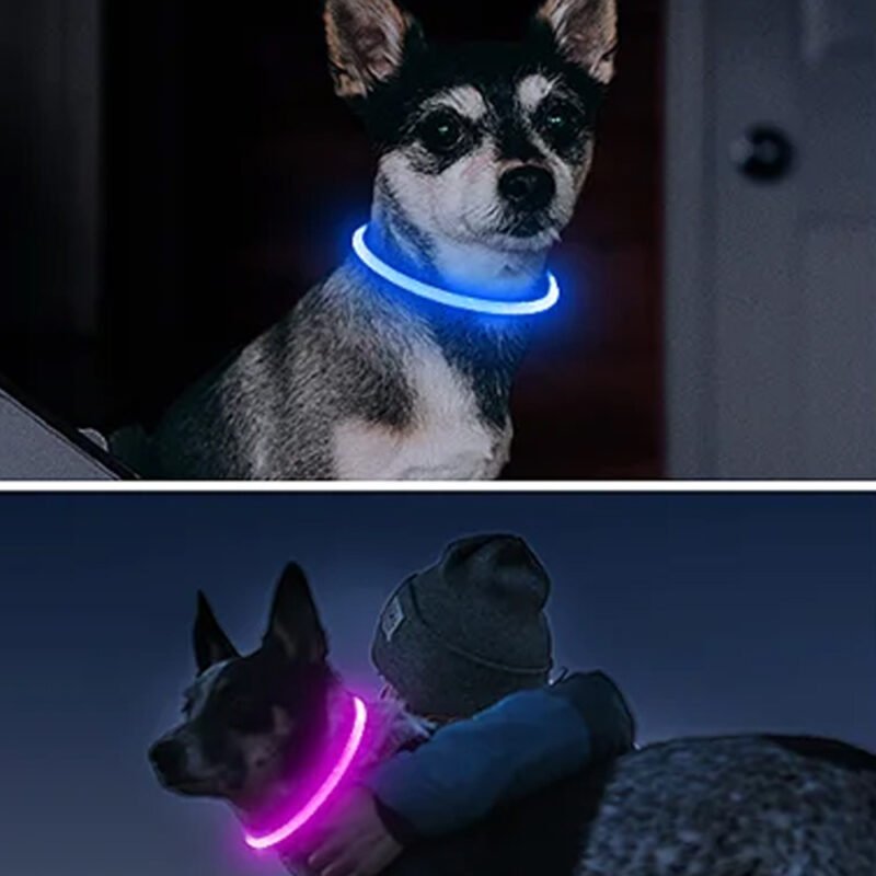 USB Led-hundehalsband Leuchtendes – Bild 15