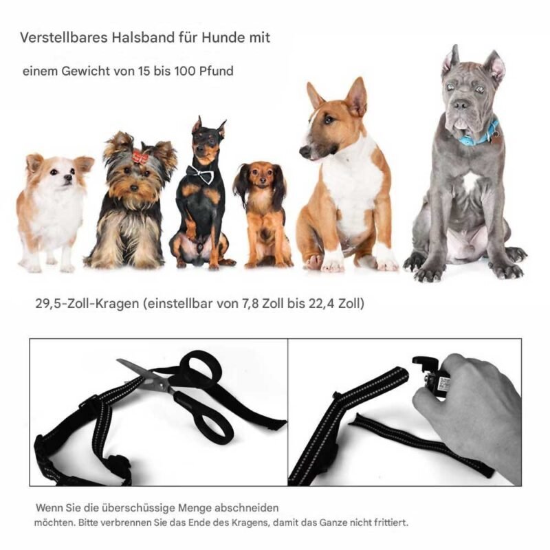 Zubehör für Hunde Trainingshilfen Welpentraining Halsband – Bild 5