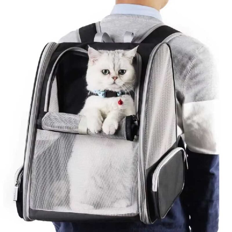 Katzen Rucksack Tragetasche, Haustier-Tragetasche, Rucksack für Katzen