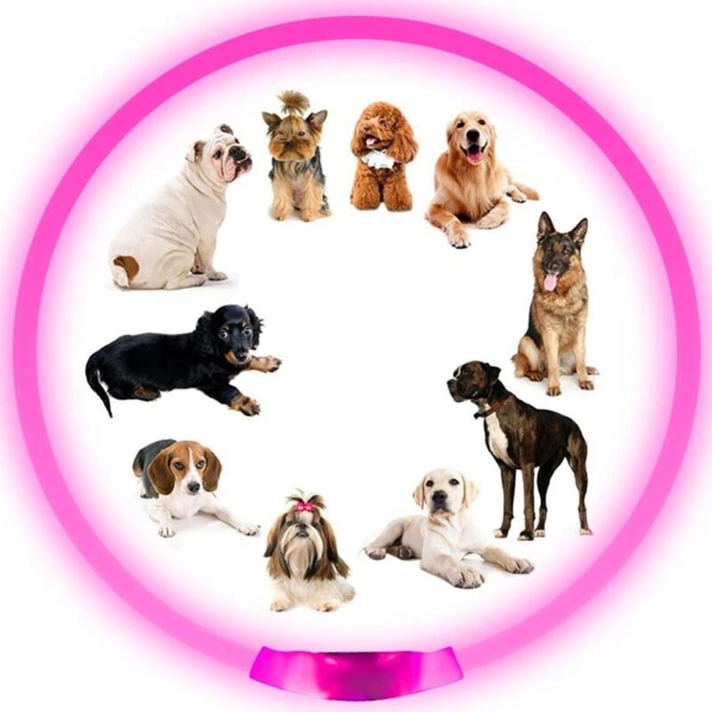 USB Led-hundehalsband Leuchtendes – Bild 14