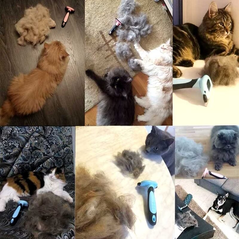 Kämme Hundehaarentferner Katzenbürste – Bild 7