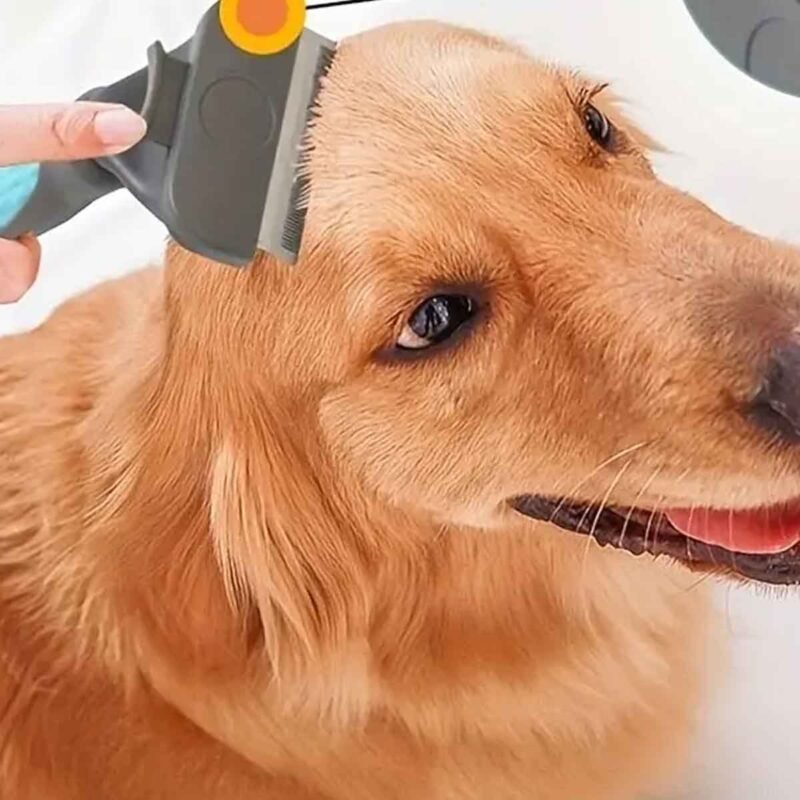 Haustierbürste, Fellwechsel-Werkzeug für Hunde und Katzen – Bild 8