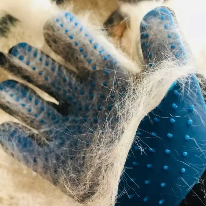 Hund Haarentfernungs handschuhe – Bild 7