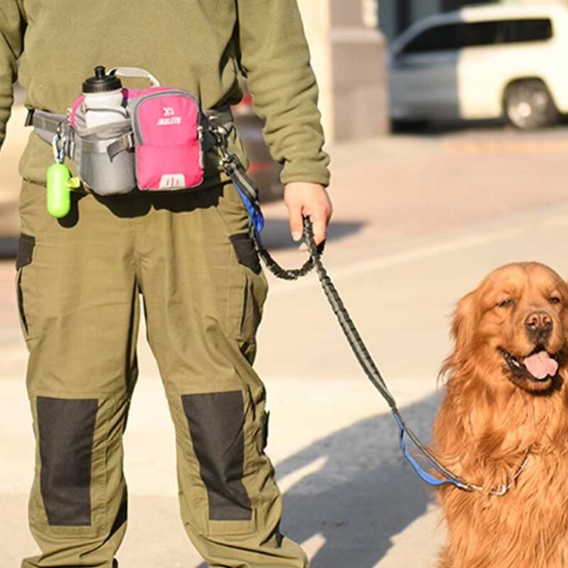 Freihändige einziehbare Hundeleine mit Gürteltasche für Spaziergänge für Hund – Bild 7