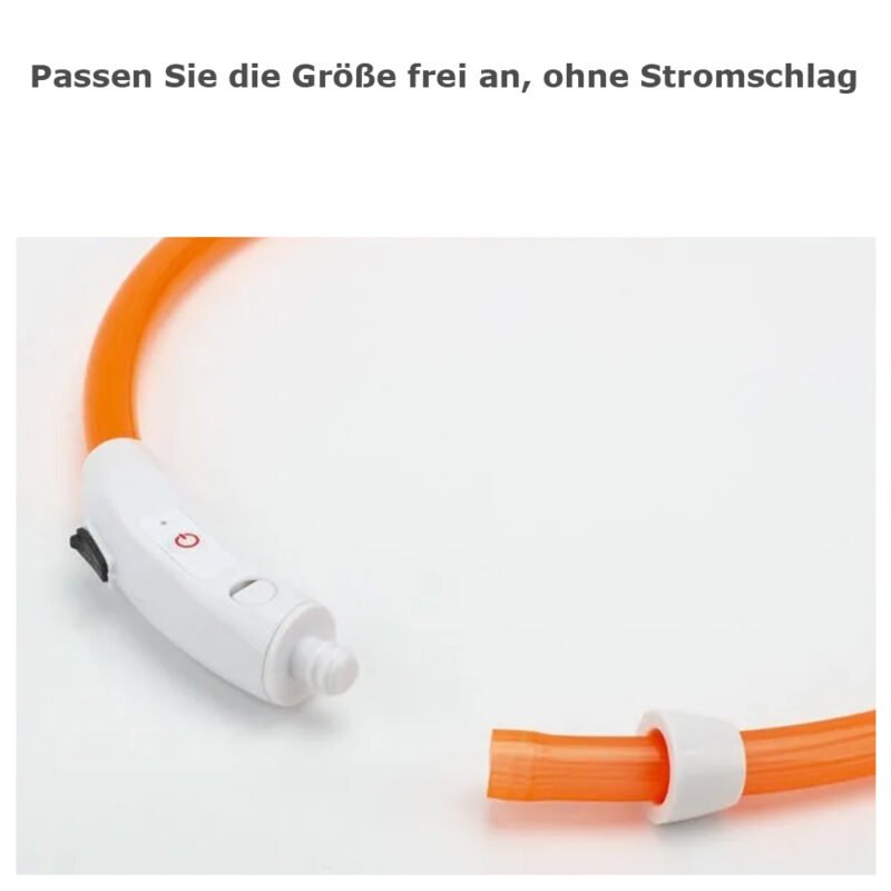 USB Led-hundehalsband Leuchtendes – Bild 10