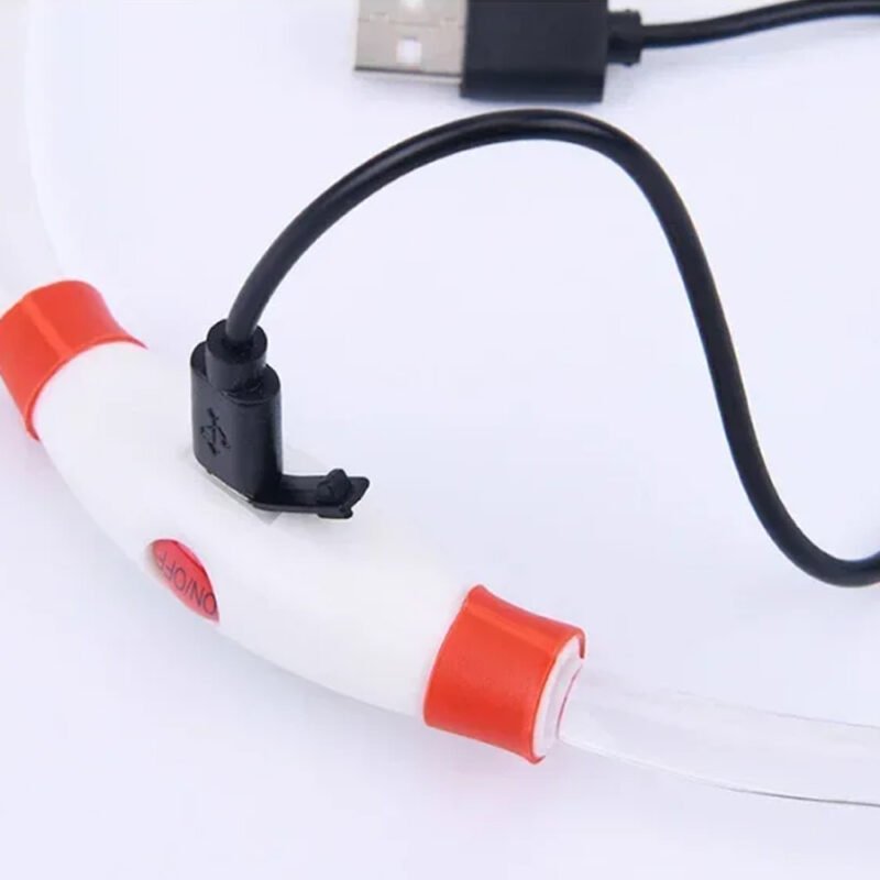 USB Led-hundehalsband Leuchtendes – Bild 9
