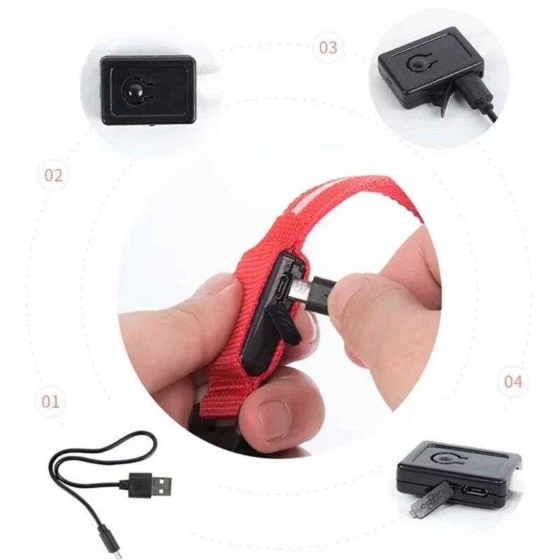 USB Reflektierendes Hundehalsband mit Leuchtfunktion – Bild 13