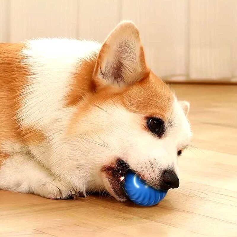 Intelligenter Hundespielzeug Ball – Bild 21