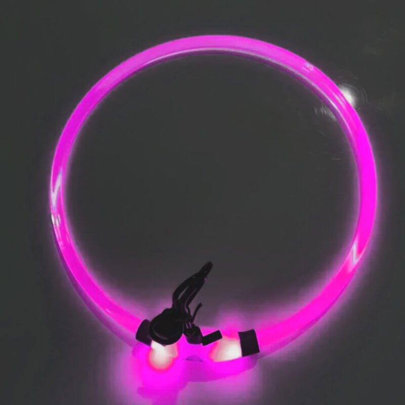 USB Led-hundehalsband Leuchtendes – Bild 4
