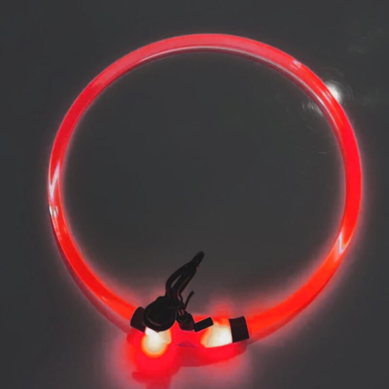 USB Led-hundehalsband Leuchtendes – Bild 3