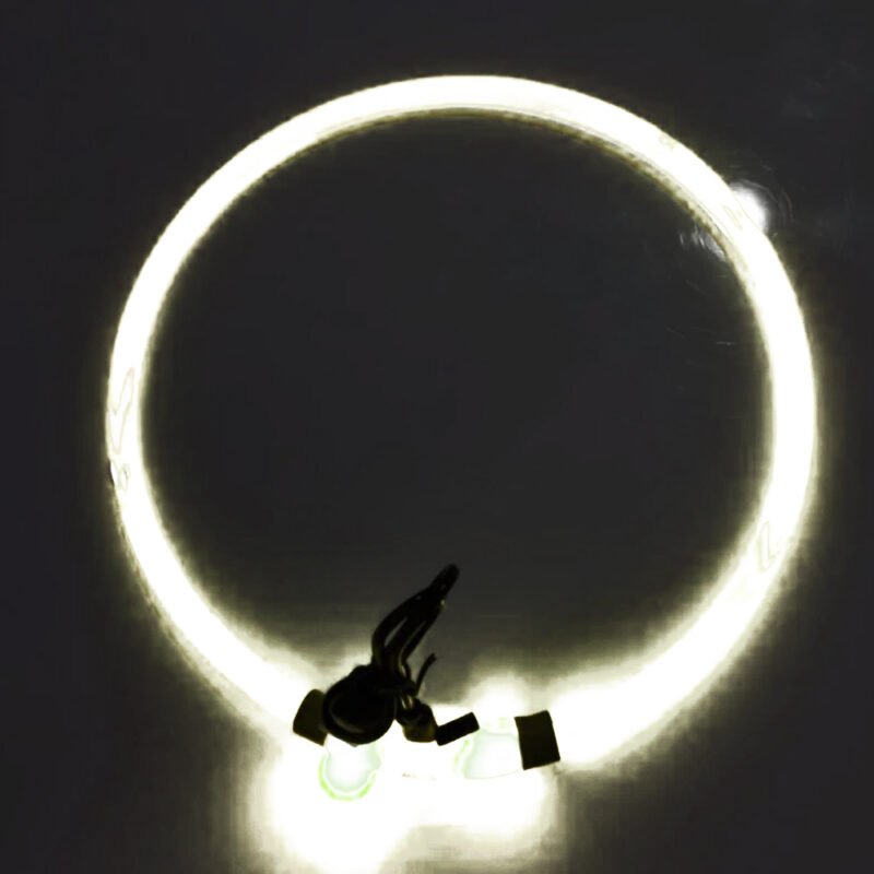 USB Led-hundehalsband Leuchtendes – Bild 2