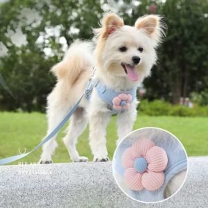 Hundegeschirr mit 1,2m Leine Set verstellbares Haustier geschirr