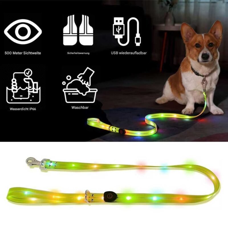 LED leuchten Hundeleine und halsband – Bild 2