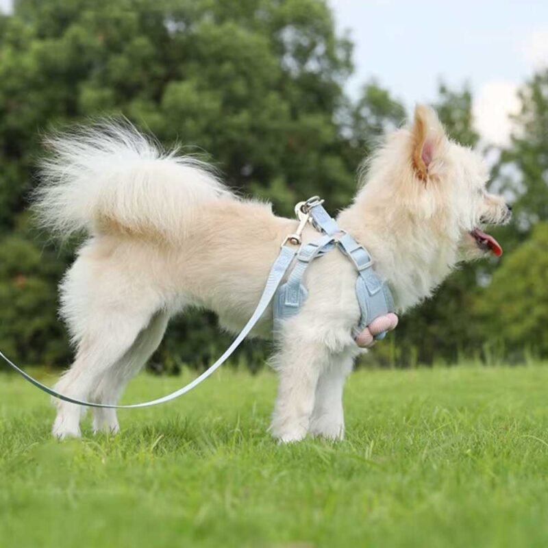 Hundegeschirr mit 1,2m Leine Set verstellbares Haustier geschirr – Bild 4