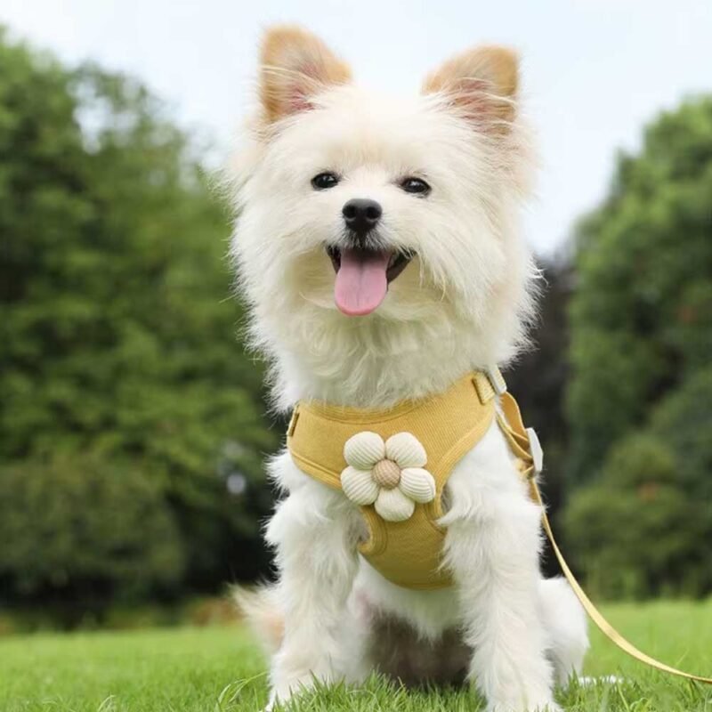 Hundegeschirr mit 1,2m Leine Set verstellbares Haustier geschirr – Bild 5