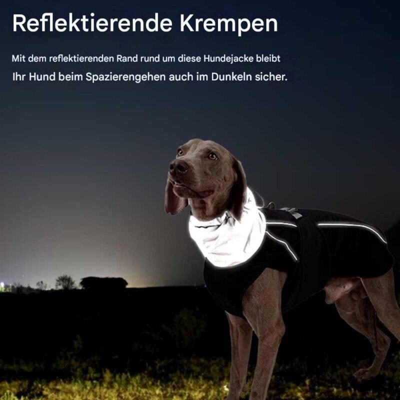 Hunde kleidung Luxus Winterjacke – Bild 6