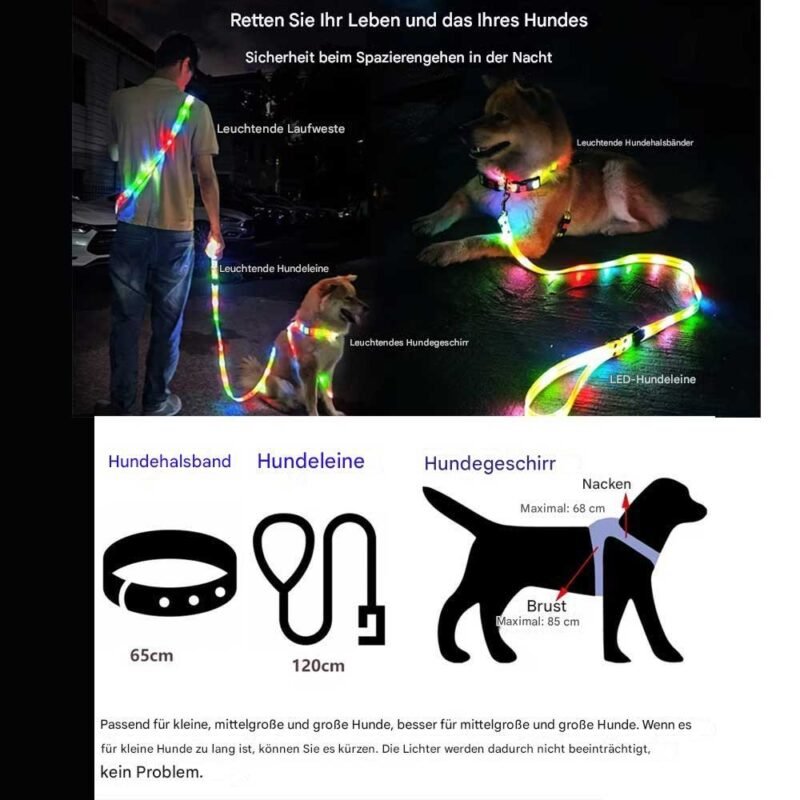 LED leuchten Hundeleine und halsband – Bild 5