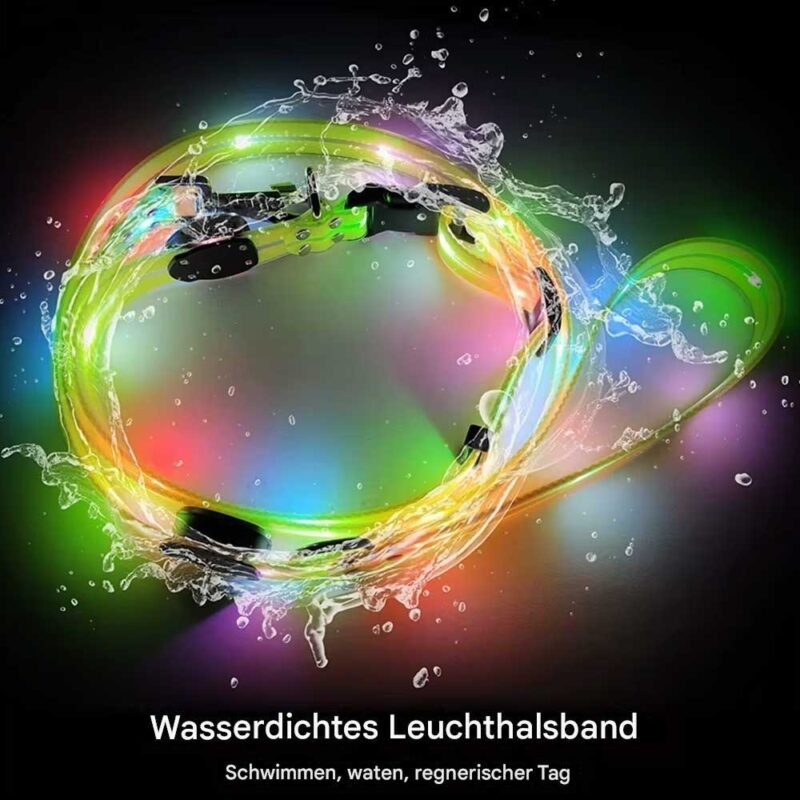 LED leuchten Hundeleine und halsband – Bild 7