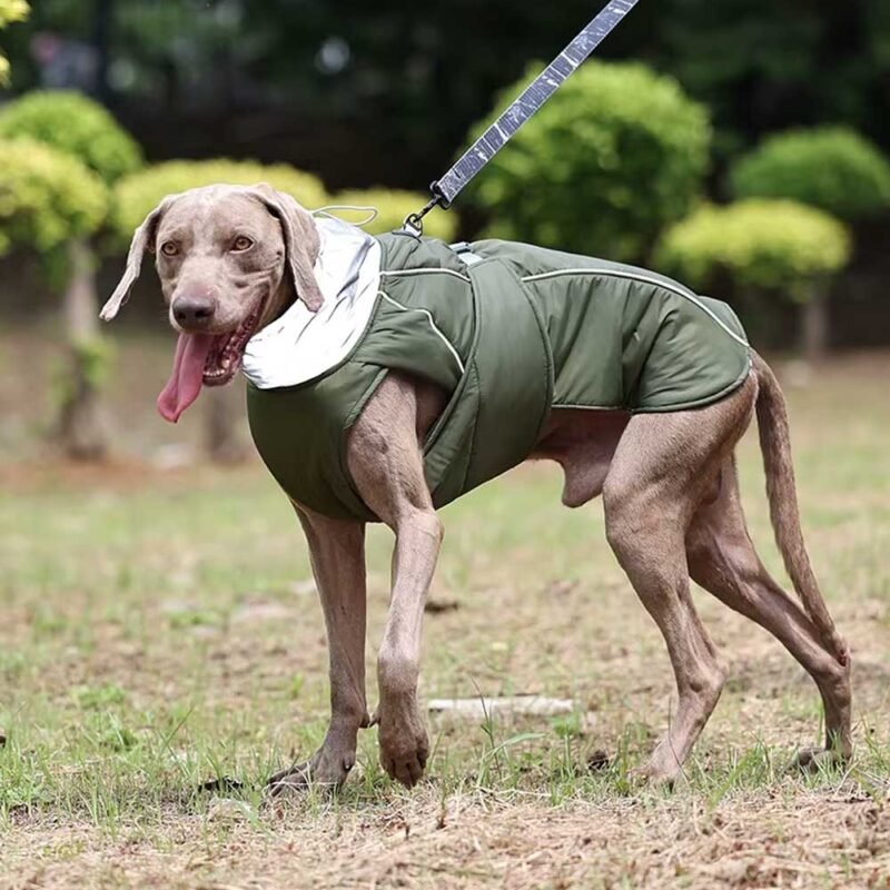 Hunde kleidung Luxus Winterjacke