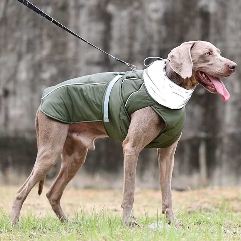 Hunde kleidung Luxus Winterjacke – Bild 11