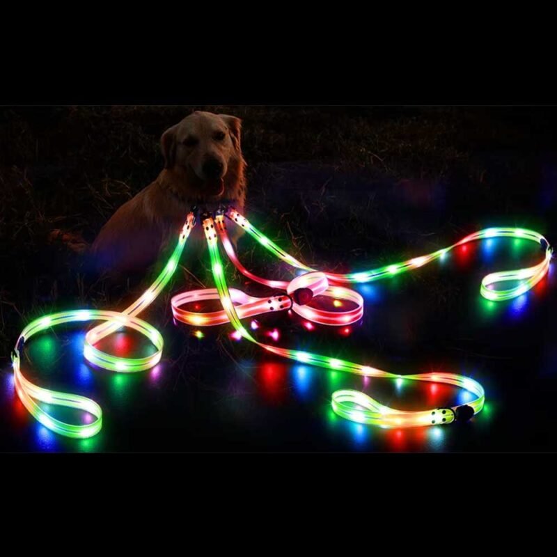 LED leuchten Hundeleine und halsband – Bild 9