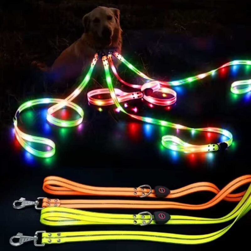 LED leuchten Hundeleine und halsband