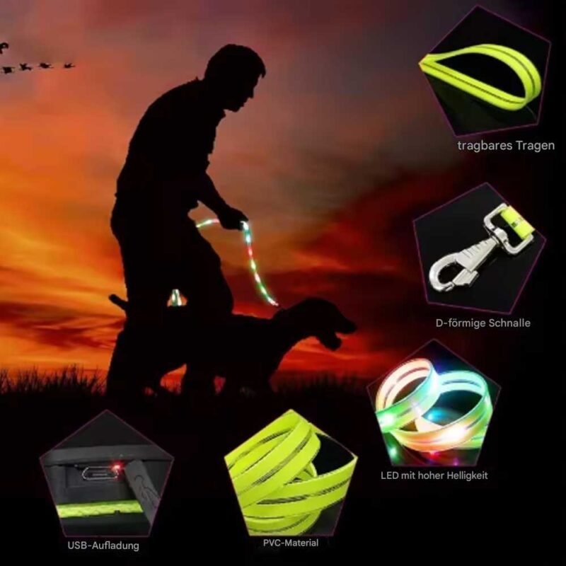 LED leuchten Hundeleine und halsband – Bild 12