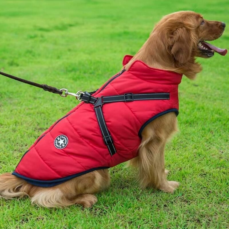 Winter Hund Kleidung Für Kleine Hunde Warme – Bild 15
