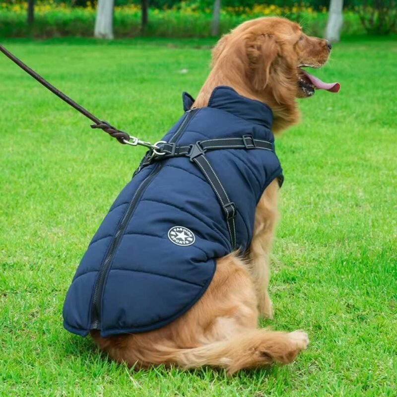 Winter Hund Kleidung Für Kleine Hunde Warme – Bild 17