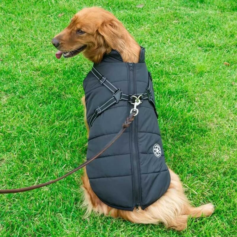 Winter Hund Kleidung Für Kleine Hunde Warme – Bild 18