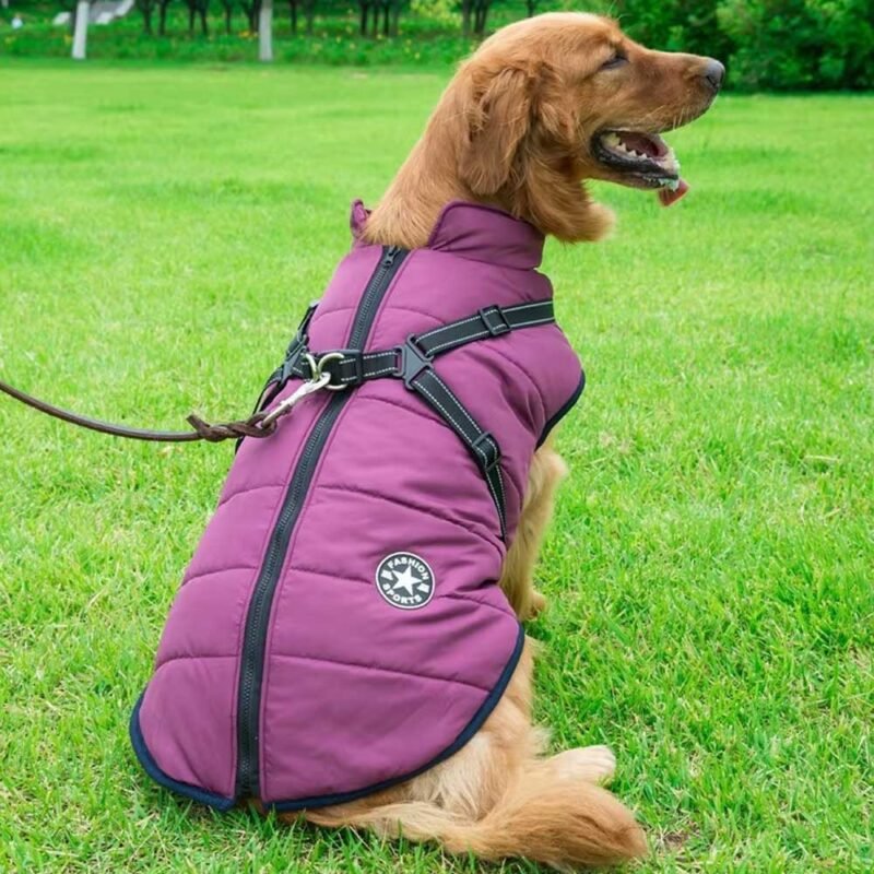 Winter Hund Kleidung Für Kleine Hunde Warme – Bild 19