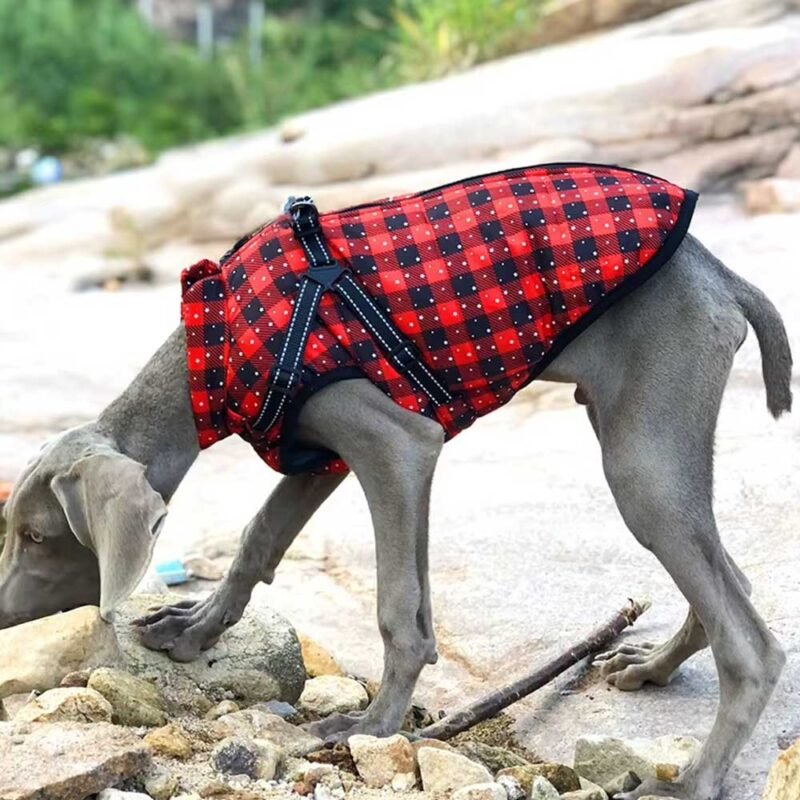 Winter Hund Kleidung Für Kleine Hunde Warme – Bild 27