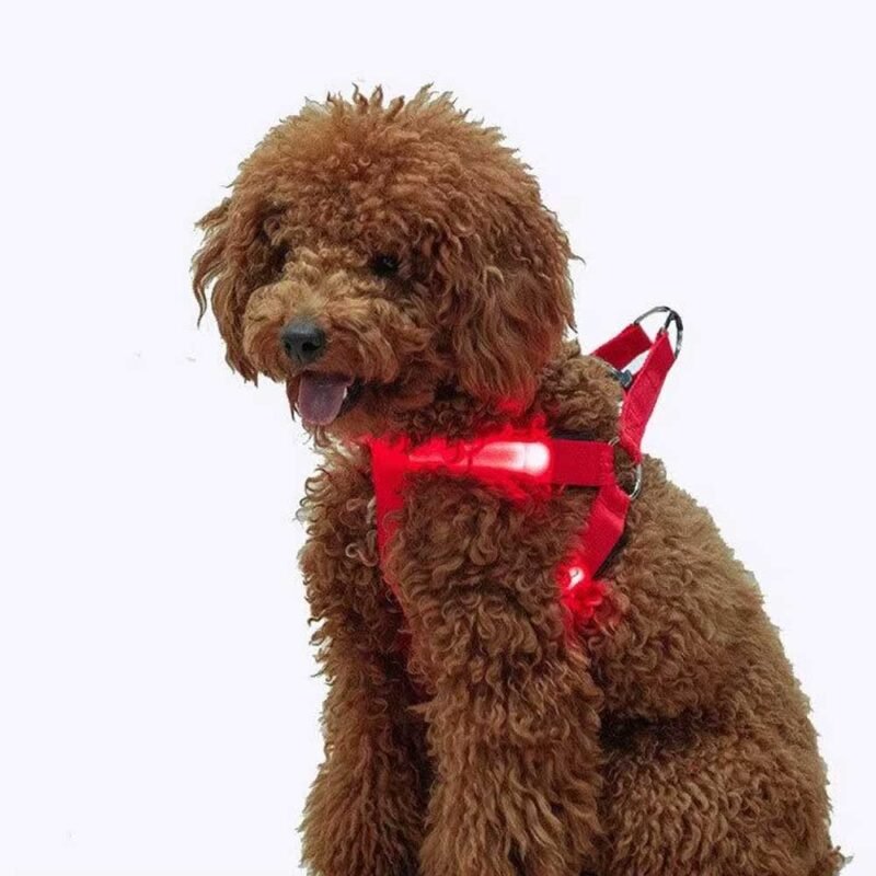 USB/ Batterie Verstellbares LED-Hundegeschirr ohne Zug leuchtendes Nylon-Brustband