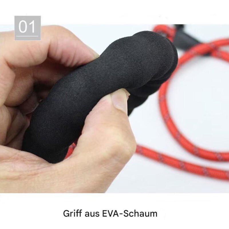 Reflektierende Hundeleine mit bequemem, gepolstertem Griff – Bild 6