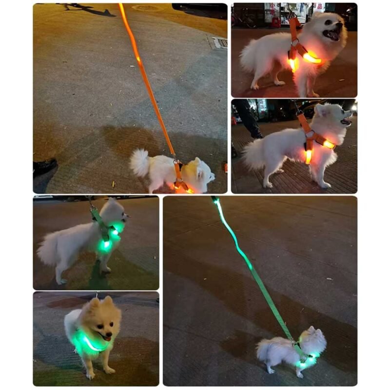USB/ Batterie Verstellbares LED-Hundegeschirr ohne Zug leuchtendes Nylon-Brustband – Bild 3