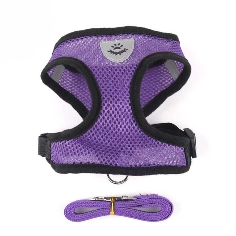 ylon Atmungsaktives Mesh Hundegeschirr und Leine Set – Bild 3