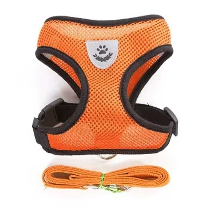 ylon Atmungsaktives Mesh Hundegeschirr und Leine Set – Bild 6