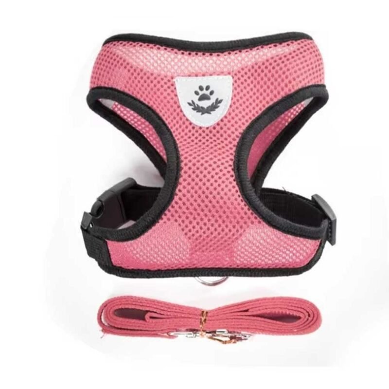 ylon Atmungsaktives Mesh Hundegeschirr und Leine Set – Bild 8