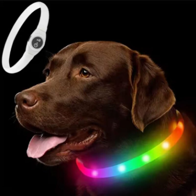 Sicherheit und Stil: Das neue LED-Leuchthundehalsband aus PVC