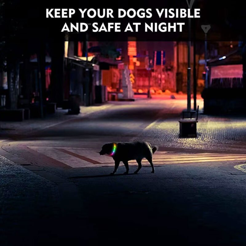 Silikon Led Hundehalsband USB Aufladbare Leuchtenden Hundehalsband Anti-Verloren – Bild 6