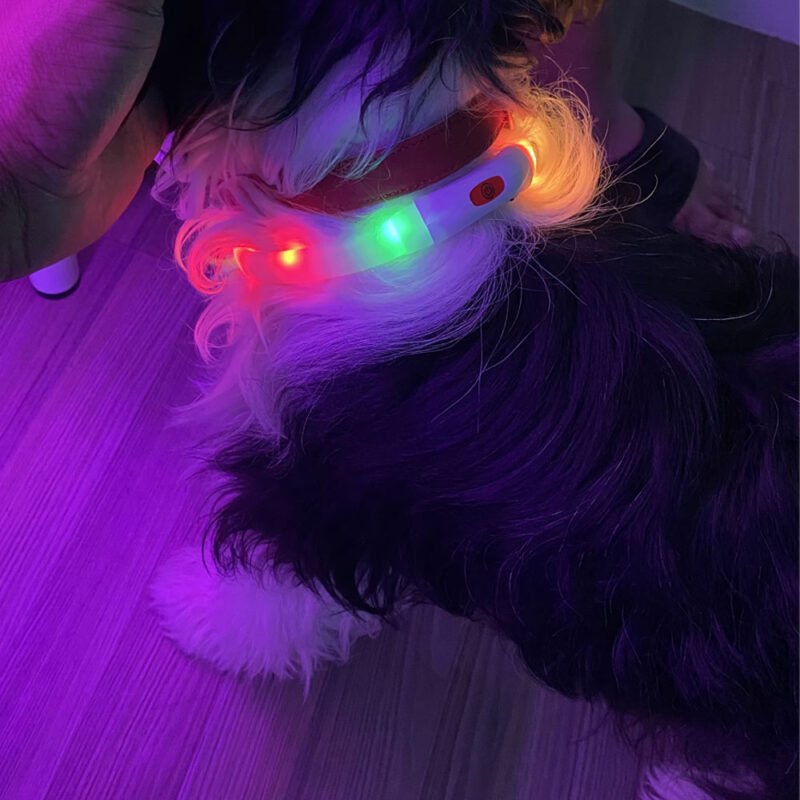 Silikon Led Hundehalsband USB Aufladbare Leuchtenden Hundehalsband Anti-Verloren – Bild 8