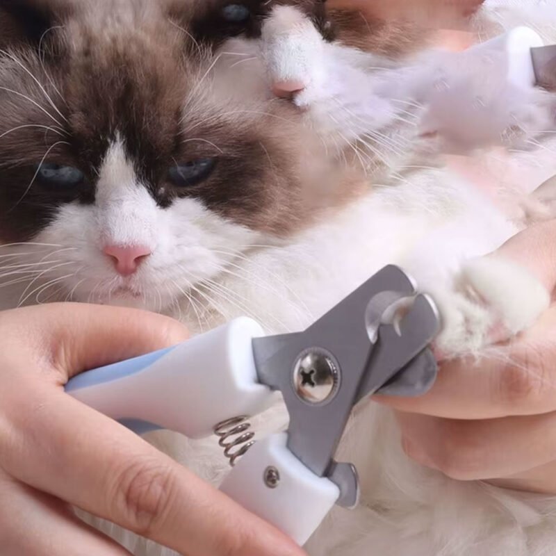 Professioneller Nagelknipser für Haustiere, Edelstahl, für Hunde und Katzen, arbeitssparender Nagelknipser, praktisches Hundepflegezubehör – Bild 10